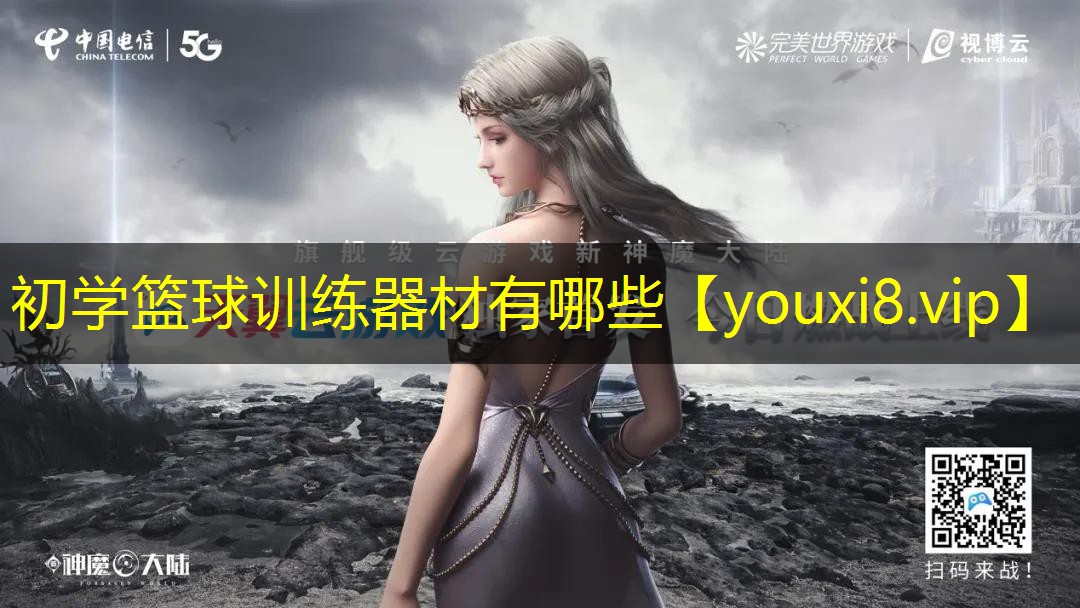 初学篮球训练器材有哪些