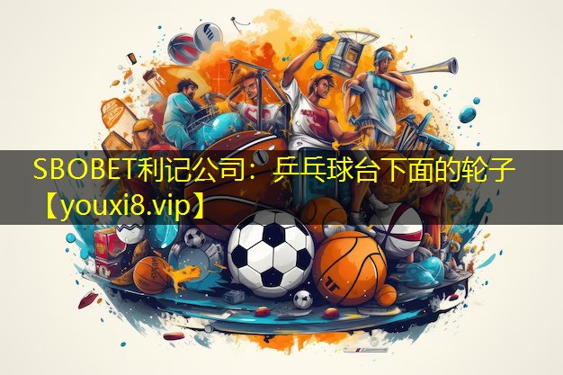 乒乓球台下面的轮子 乒乓球台下面的轮子