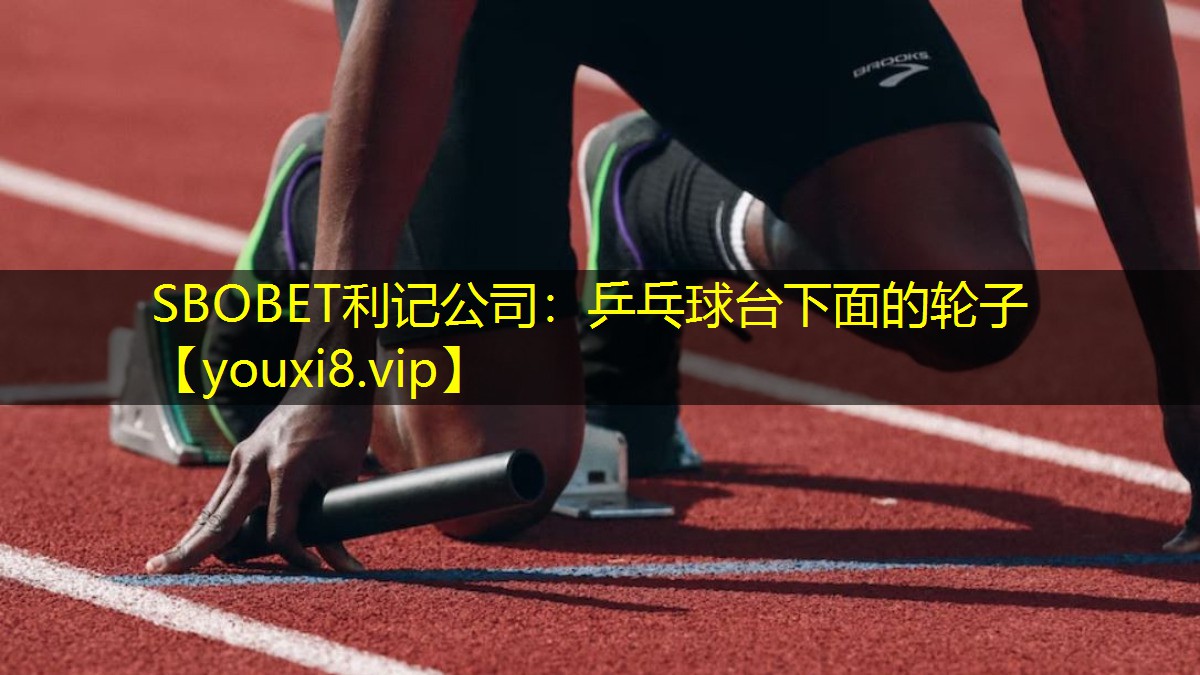 乒乓球台下面的轮子 乒乓球台下面的轮子