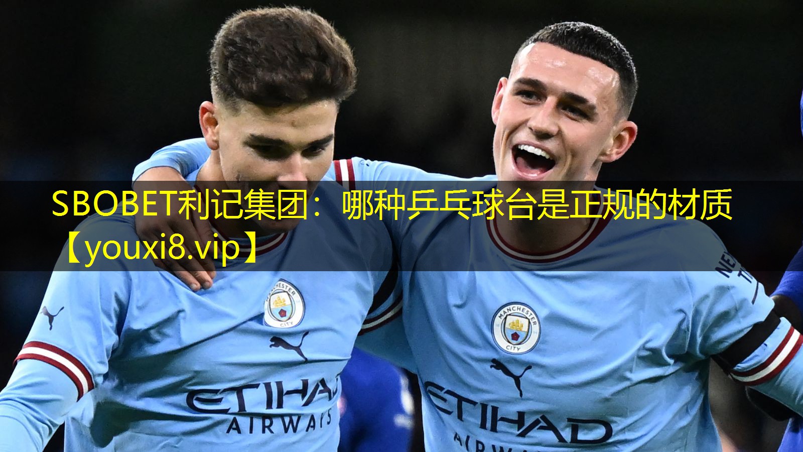 哪种乒乓球台是正规的材质 哪种乒乓球台是正规的材质