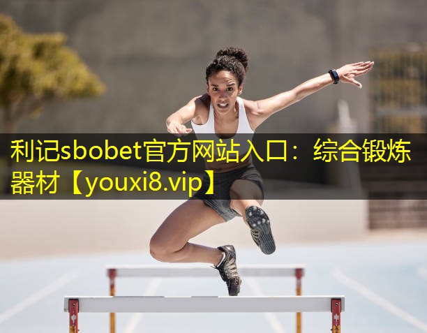 综合锻炼器材 综合锻炼器材