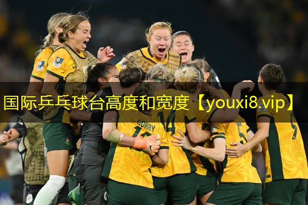 国际乒乓球台高度和宽度