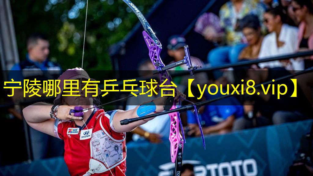 宁陵哪里有乒乓球台