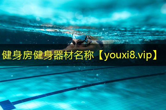 健身房健身器材名称