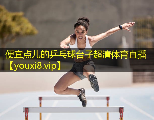 便宜点儿的乒乓球台子超清体育直播