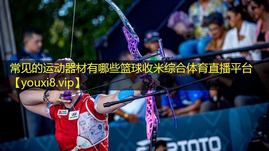 常见的运动器材有哪些篮球收米综合体育直播平台