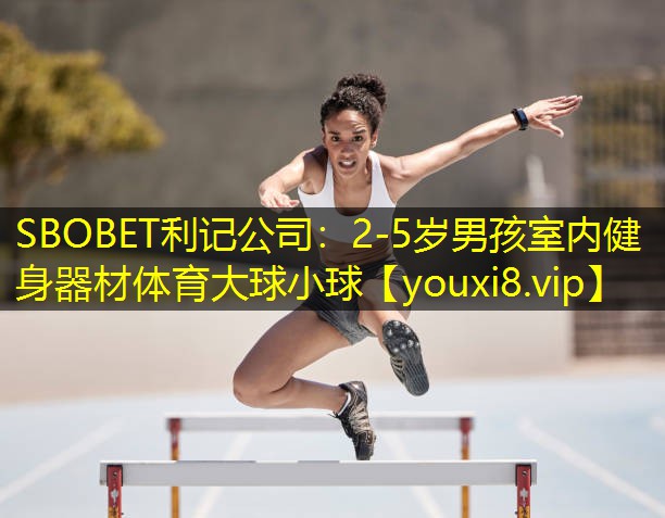 SBOBET利记公司：2-5岁男孩室内健身器材体育大球小球