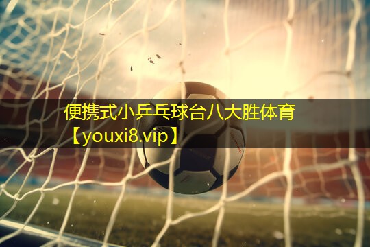 便携式小乒乓球台八大胜体育