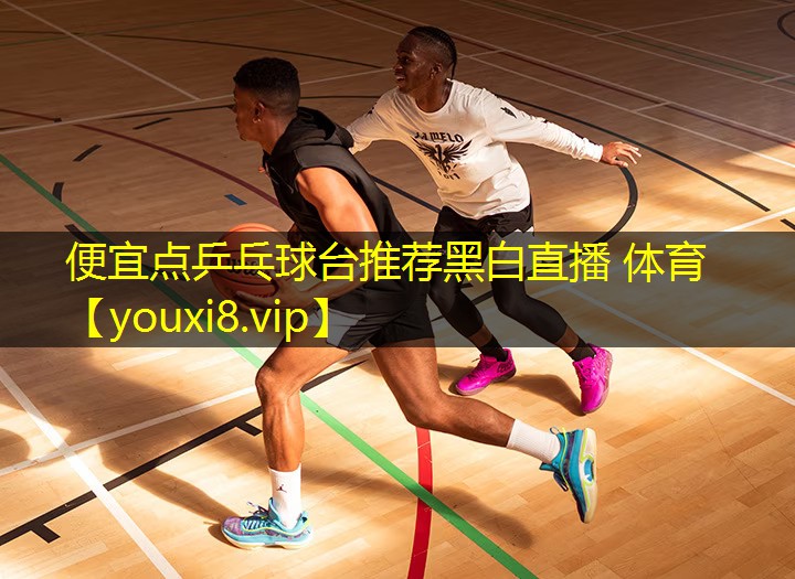 便宜点乒乓球台推荐黑白直播 体育