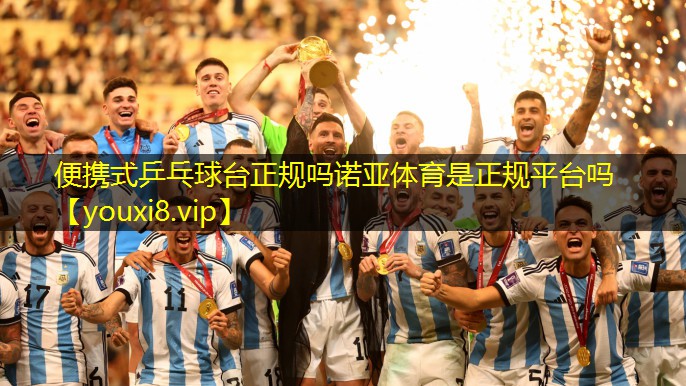 便携式乒乓球台正规吗诺亚体育是正规平台吗
