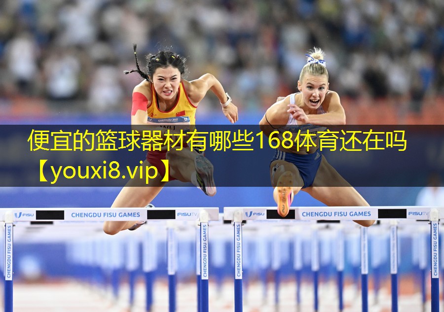 便宜的篮球器材有哪些168体育还在吗