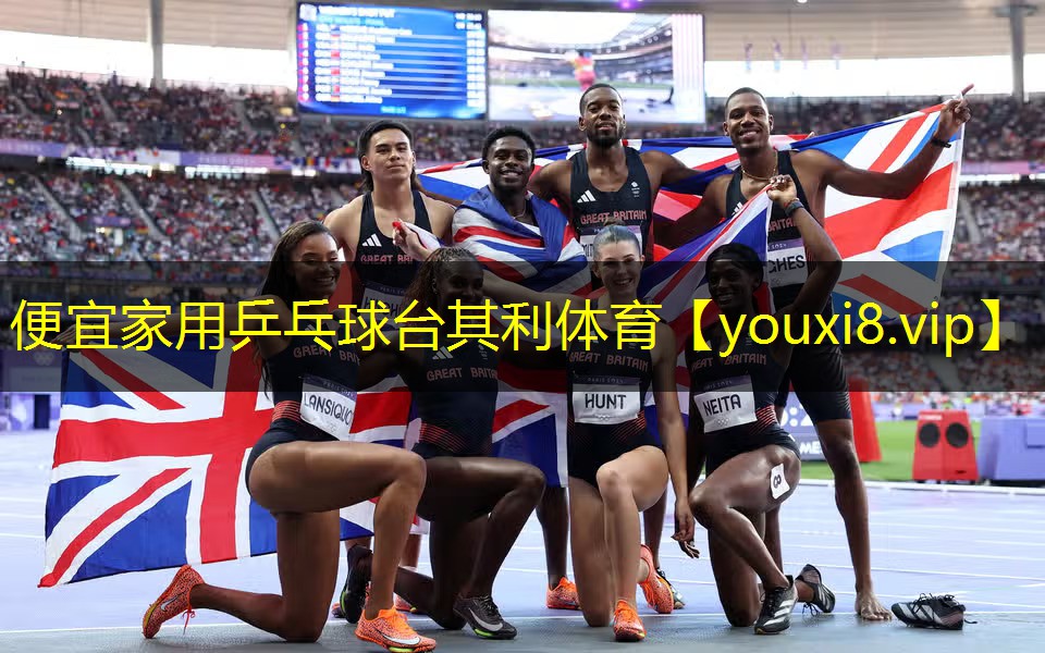 便宜家用乒乓球台其利体育