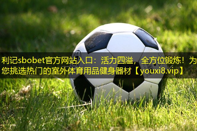 活力四溢,全方位锻炼!为您挑选热门的室外体育用品健身器材 活力四溢,全方位锻炼!为您挑选热门的室外体育用品健身器材