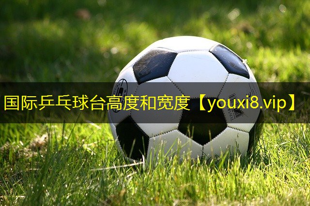 国际乒乓球台高度和宽度 国际乒乓球台高度和宽度
