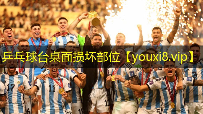 乒乓球台桌面损坏部位 乒乓球台桌面损坏部位