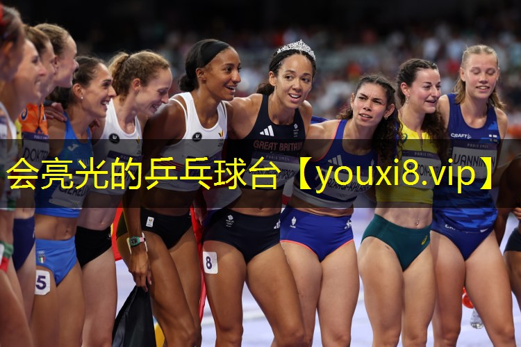 会亮光的乒乓球台 会亮光的乒乓球台