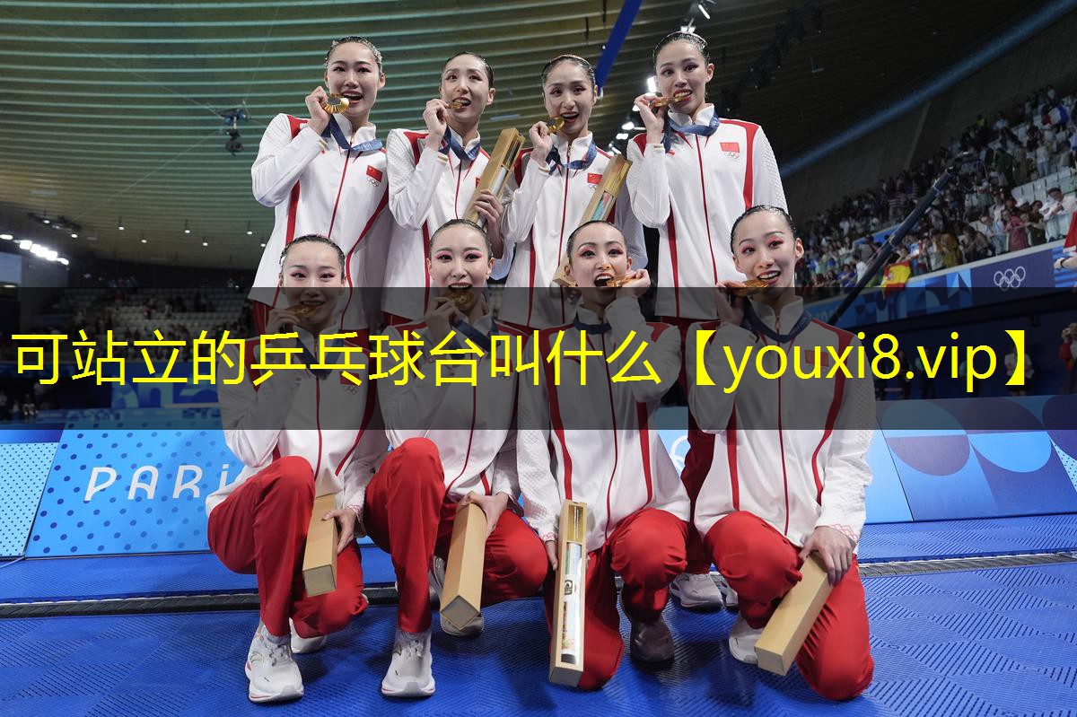可站立的乒乓球台叫什么 可站立的乒乓球台叫什么